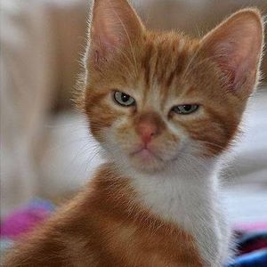 Meet your Posher, Bethany